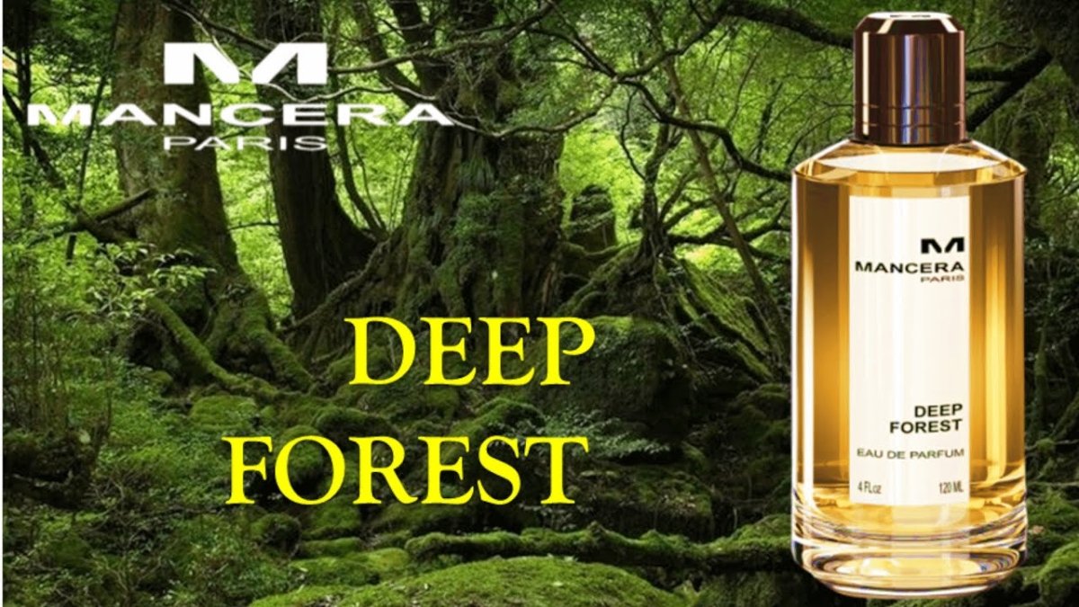 Deep Forest Mancera