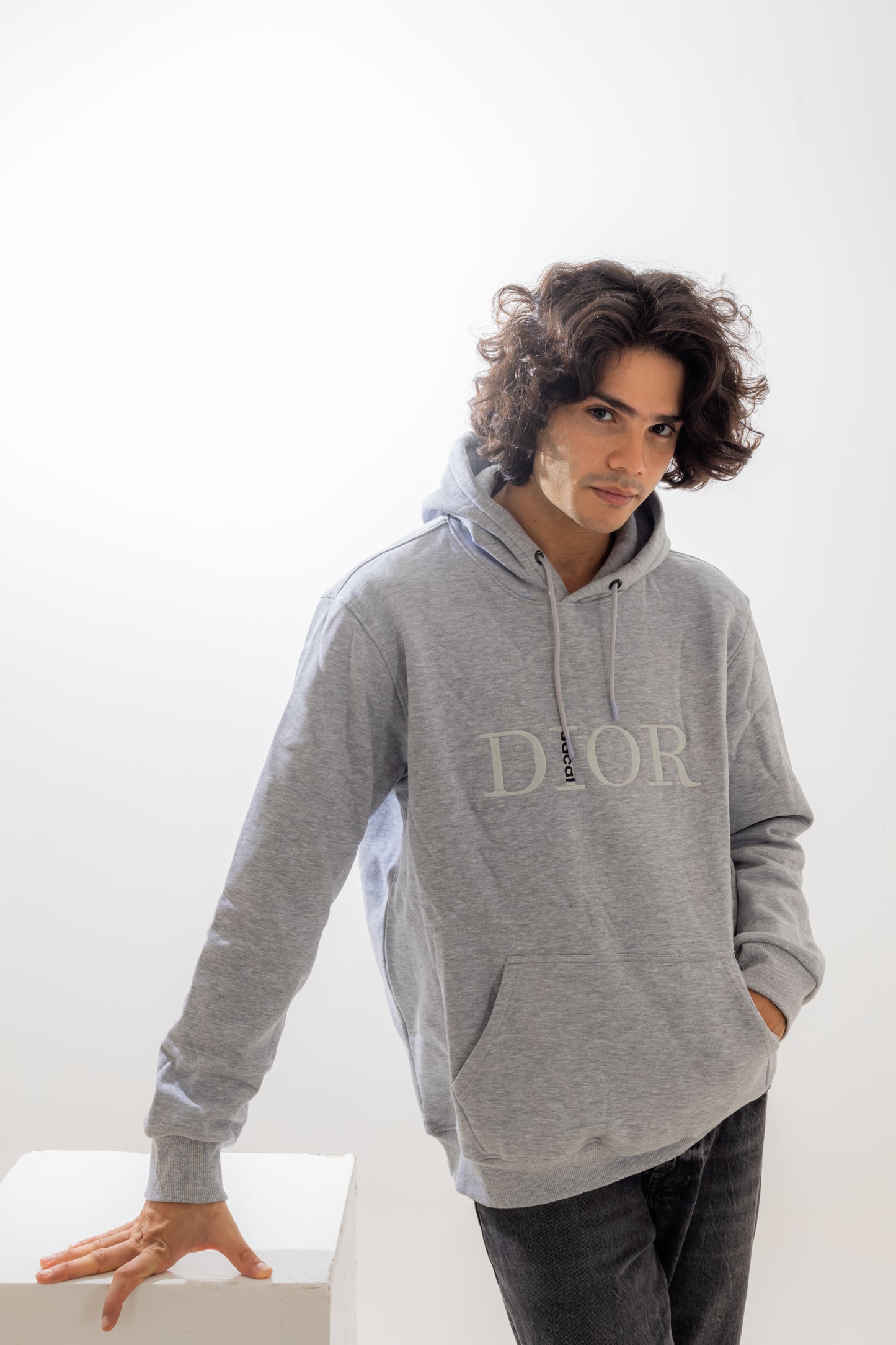 Dior Light Gray Hooded Sweatshirt